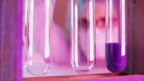 Scientist in lab carefully drips the solution into glass tubes experimenting a chemical reaction tes