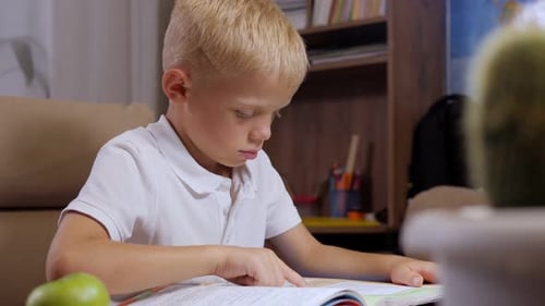 Boy Reads Book at Table Indoors