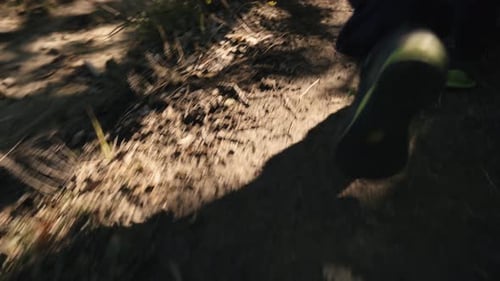 Following person while hiking through the forest during sunshine day. Walking in nature concept.