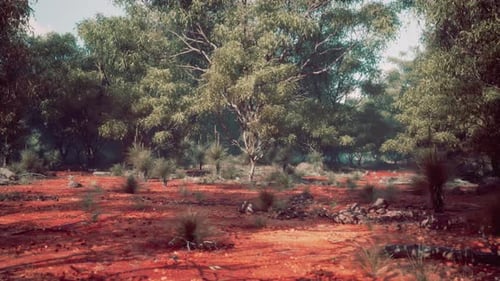 A Serene Landscape with Trees in a Rustic Field