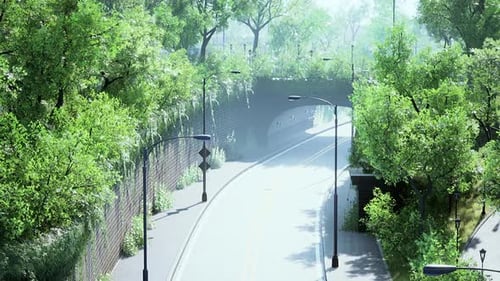 Country Asphalt Road and Green Trees Nature Landscape in the Summer