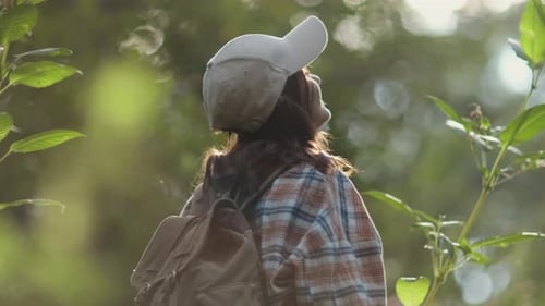 Wandernde Frau, die im Wald spaziert, Rückansicht einer Wanderin, die mit Rucksack durch die Waldnatur geht