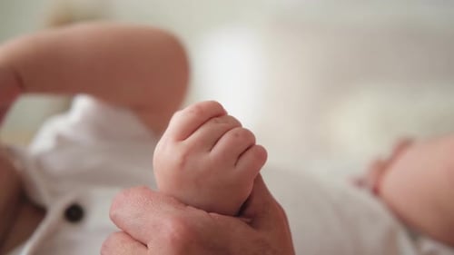Loving Adult Holds Tiny Hand of Infant Indoors