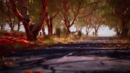 Open Road in Australia with Bush Trees