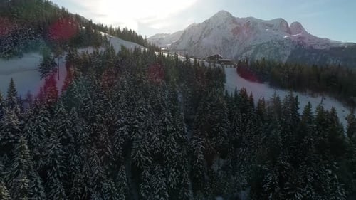 Aerial drone of snowy ski trails in the Alps in wintertime.
Camera moving forward from the pine fore