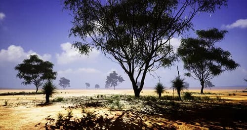 Vibrant Desert Landscape with Silhouettes of Trees Under a Clear Blue Sky