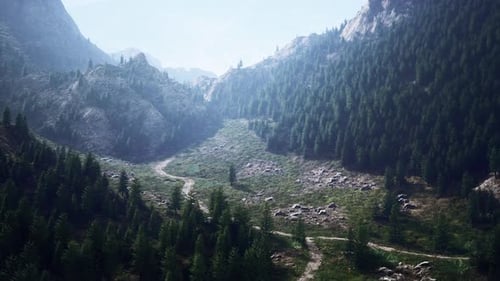 Winding Road in the Mountains with Pine Forest