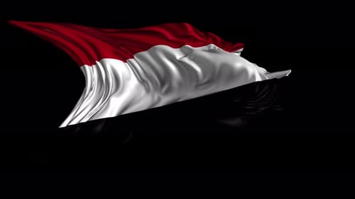 Realistic Waving Flag Animation with Flowing Fabric Effect