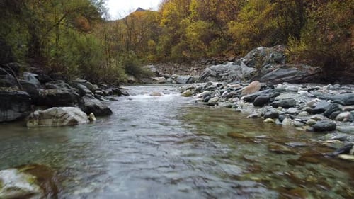 Mountain river water flow with red and yellow trees autumn foliage aerial view