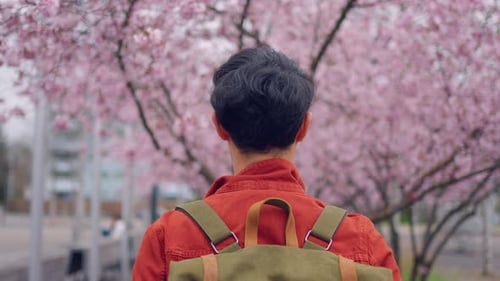 Asian young man backpacker traveler travel and looking around in city.