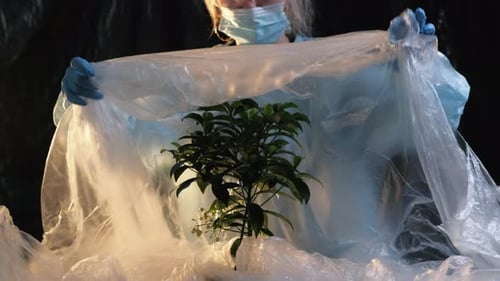 Plant Emerging from Plastic Pollution with Medical Professional