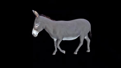 Donkey Walk Idle