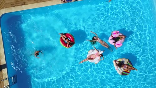 Aerial Friends Chilling in Swimming Pool with Inflatable Flamingo Swan Mattress Happy Young People