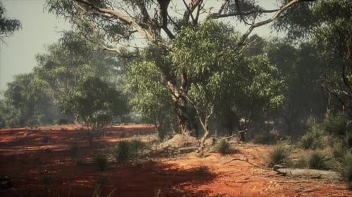 Versatile Dynamic Animated Element