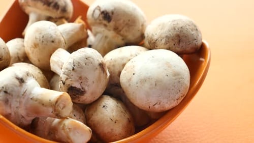 Champignons frais dans un bol blanc sur la table