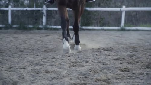 Slow motion frontal view of the legs of a dark colored horse while riding