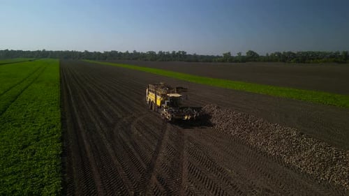Combine harvesting sugar beet aerial view