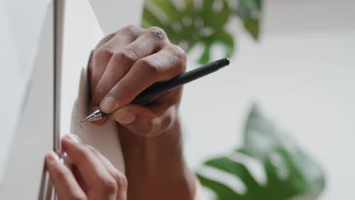 Hands Sketching in Notebook with Green Plant