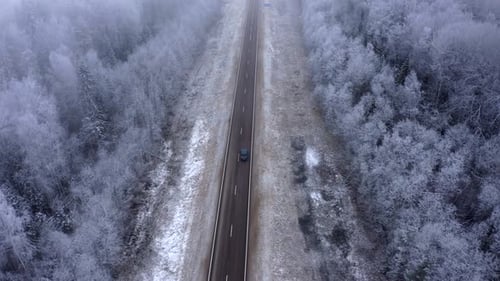 a road with a black car driving and a forest with treetops covered in snow