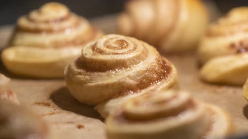 Cinnamon buns are baked in the oven. Blurry background, shallow depth of field.
