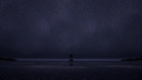 Amazing Starry Sky Over Sea At Night