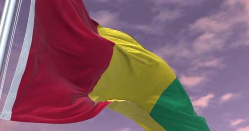 Realistic Waving Guinea National Flag