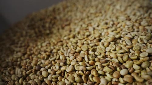 Natural Organic Green Coffee Beans