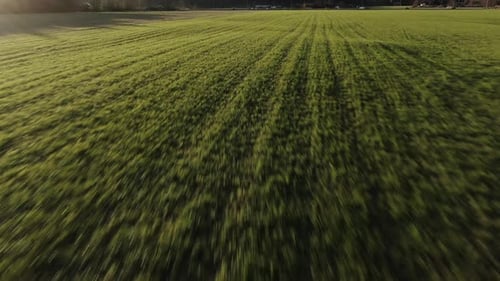 High-speed aerial reveal shot of green field and sunset.