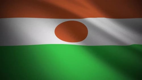 Stoffsimulation mit der Flagge von Niger — Bewegte Grafiken