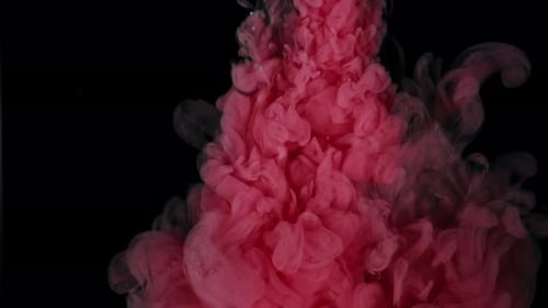 Aqueous Beauty in Slow Motion Pink Paint Drops Create an Abstract Masterpiece on a Light White