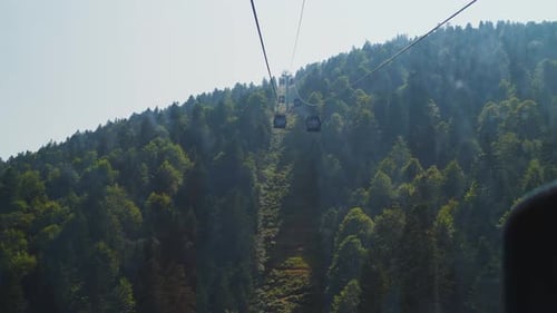 Cable cars glide over a dense forested mountain on a sunny day in serene nature