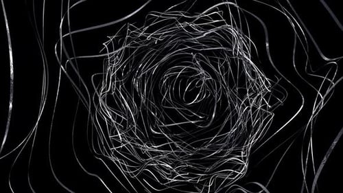 Circle Knots