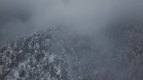 Montagnes enneigées et brouillard
