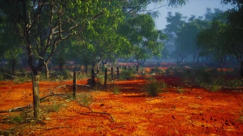 Fragment of an Old Fence with Rusty Barbed Wire