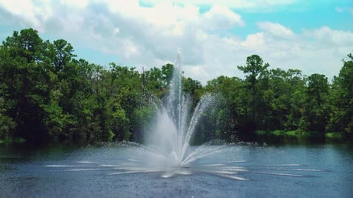 Eine ruhige Szene mit einem dekorativen Springbrunnen, umgeben von üppigem Grün in Florida, unter einem klaren Himmel