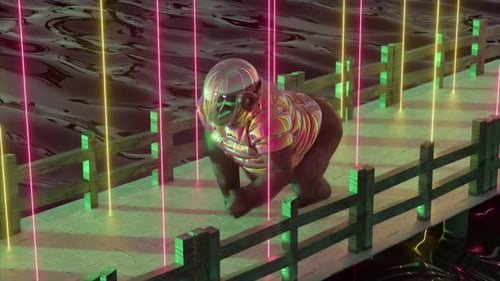 Gorilla with Helmet Runs Along a Stone Pier