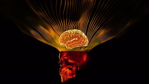 3D animation with skull and glowing brain