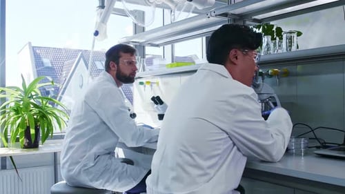 Scientist and His Assistant Working in Lab Doctor Teaching Intern to Make Analyzing Research