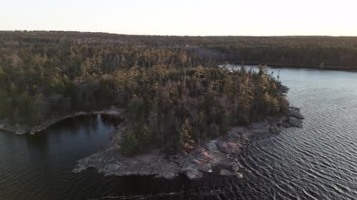 Cinematic Drone Shot of a Wild Forest Landscape with a Long Lake at Sunset