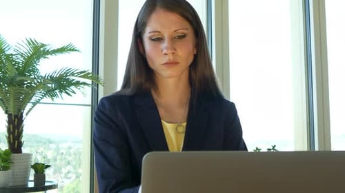Woman Working On Laptop in Modern Office