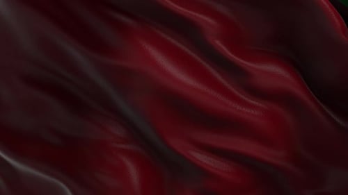 Red Leather - Motion Fabric Background