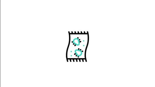 Carpet Animated Icon