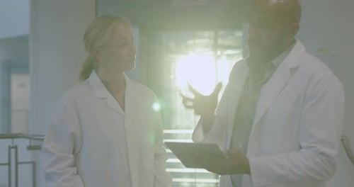 Doctors Meeting in Medical Hospital and Looking at Medical Results