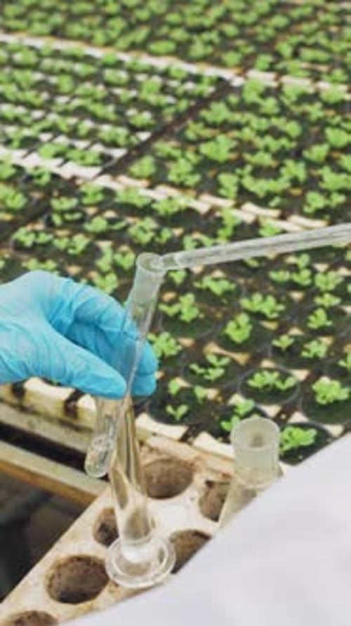Unbekannter Wissenschaftler im Laborkittel mit Pipette und Reagenzgläsern zur Durchführung von Experimenten mit