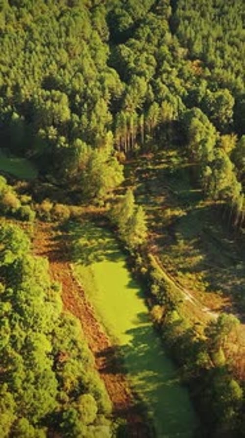 Belarus Aerial View Of Green