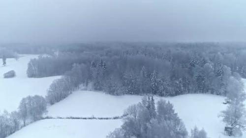 Hard snowy cold winter over vast landscape. snow covered trees and huge forest. drone shot of a froz