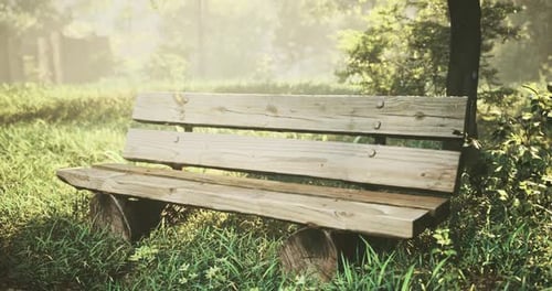 Peaceful Wooden Bench in Misty Natural Park Setting