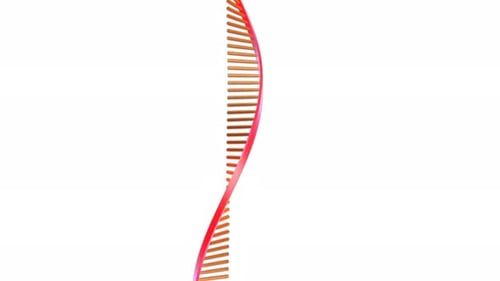 Detailed rotating dna strand model on white background