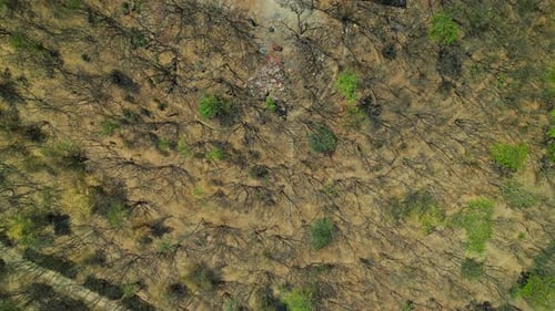 Drone filmé au-dessus du temple Vindhyavaasini Devi à Dindori, dans le Nashik