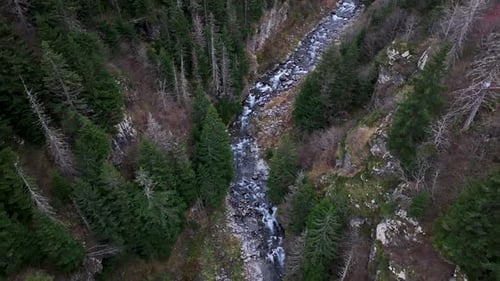 stream in the valley
